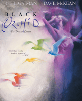 BlackOrchid01