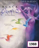 BlackOrchid02