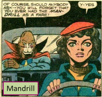 Mandrill01