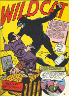 WildcatDCComics