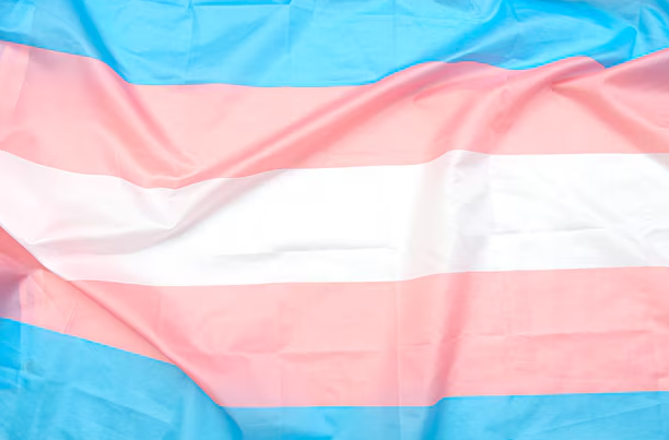 Transgender Flag